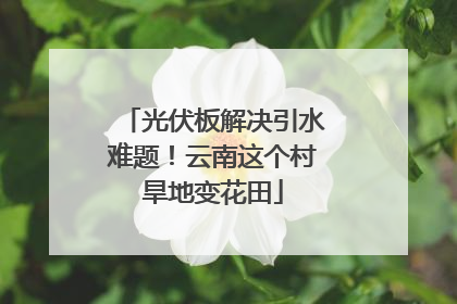 光伏板解决引水难题！云南这个村旱地变花田