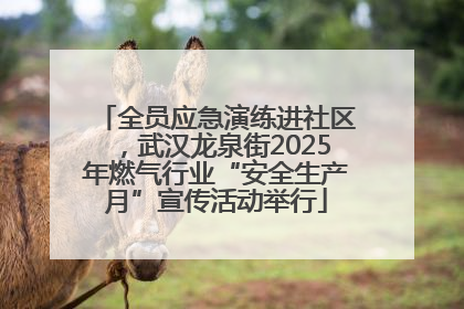 全员应急演练进社区，武汉龙泉街2025年燃气行业“安全生产月”宣传活动举行