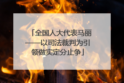 全国人大代表马丽——以司法裁判为引领做实定分止争