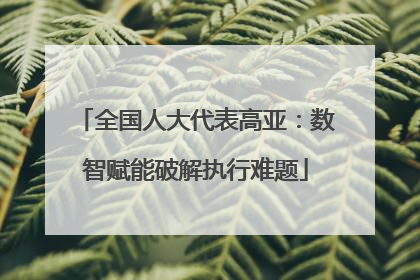 全国人大代表高亚：数智赋能破解执行难题