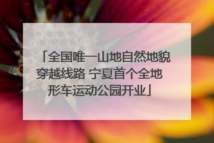 全国唯一山地自然地貌穿越线路 宁夏首个全地形车运动公园开业