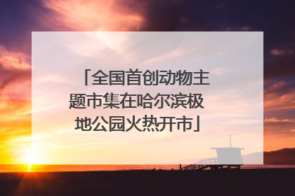 全国首创动物主题市集在哈尔滨极地公园火热开市