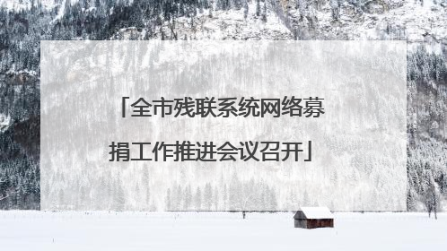 全市残联系统网络募捐工作推进会议召开