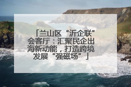 兰山区“沂企联”会客厅：汇聚民企出海新动能，打造跨境发展“强磁场”