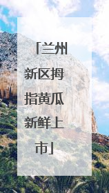 兰州新区拇指黄瓜新鲜上市
