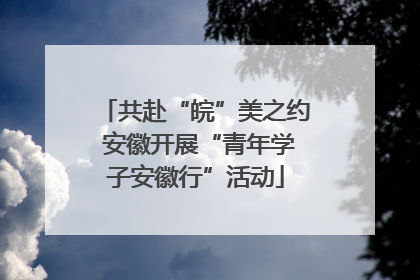 共赴“皖”美之约 安徽开展“青年学子安徽行”活动