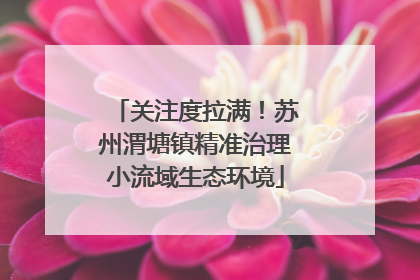 关注度拉满！苏州渭塘镇精准治理小流域生态环境