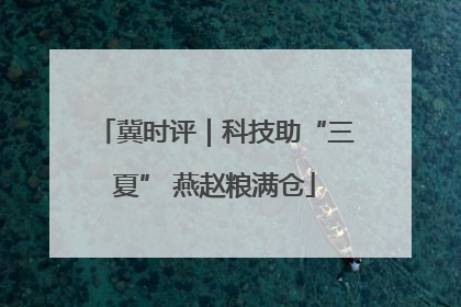冀时评｜科技助“三夏” 燕赵粮满仓