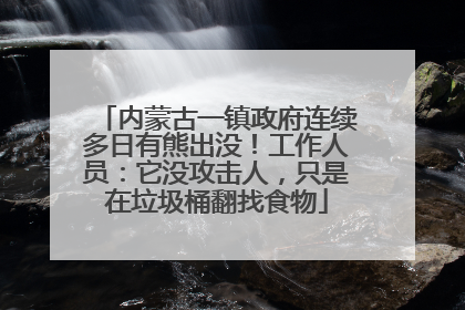 内蒙古一镇政府连续多日有熊出没！工作人员：它没攻击人，只是在垃圾桶翻找食物