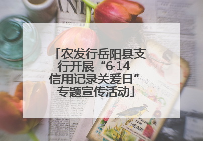 农发行岳阳县支行开展“6·14信用记录关爱日” 专题宣传活动