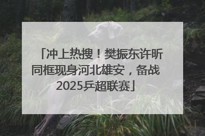 冲上热搜！樊振东许昕同框现身河北雄安，备战2025乒超联赛