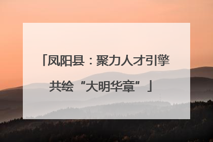凤阳县：聚力人才引擎 共绘“大明华章”