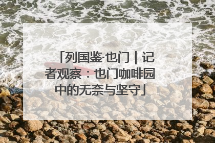 列国鉴·也门｜记者观察：也门咖啡园中的无奈与坚守