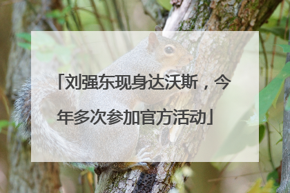 刘强东现身达沃斯，今年多次参加官方活动