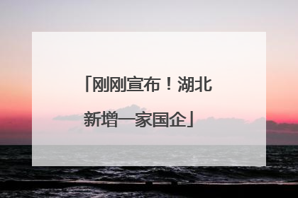 刚刚宣布！湖北新增一家国企