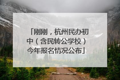 刚刚，杭州民办初中（含民转公学校）今年报名情况公布