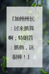 加州州长：过来抓我啊；特朗普：抓他，这很棒！