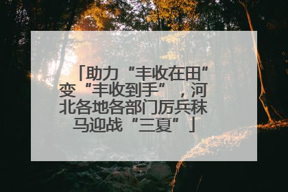 助力“丰收在田”变“丰收到手”，河北各地各部门厉兵秣马迎战“三夏”