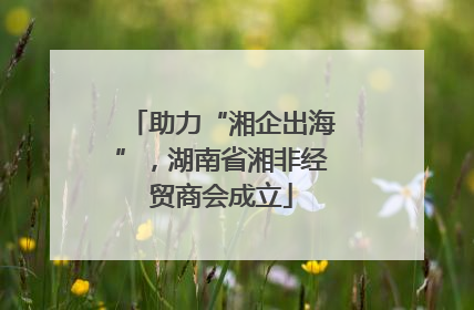 助力“湘企出海”，湖南省湘非经贸商会成立