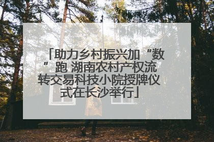 助力乡村振兴加“数”跑 湖南农村产权流转交易科技小院授牌仪式在长沙举行