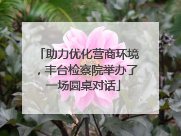 助力优化营商环境，丰台检察院举办了一场圆桌对话