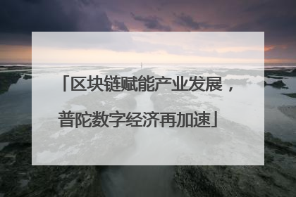 区块链赋能产业发展，普陀数字经济再加速
