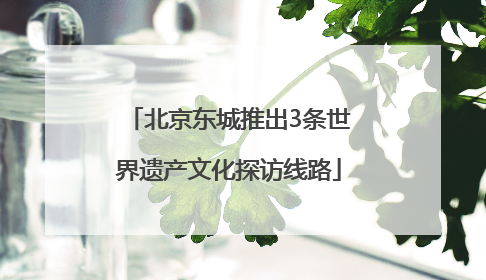 北京东城推出3条世界遗产文化探访线路