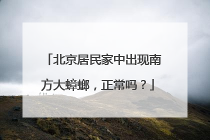 北京居民家中出现南方大蟑螂，正常吗？