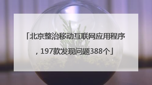北京整治移动互联网应用程序，197款发现问题388个