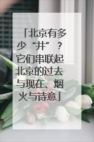 北京有多少“井”？它们串联起北京的过去与现在、烟火与诗意