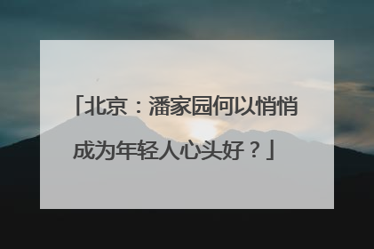 北京：潘家园何以悄悄成为年轻人心头好？