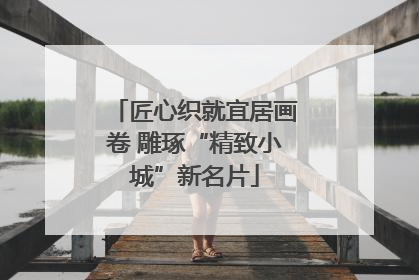 匠心织就宜居画卷 雕琢“精致小城”新名片