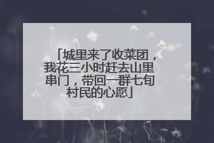 城里来了收菜团，我花三小时赶去山里串门，带回一群七旬村民的心愿