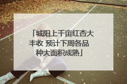 城阳上千亩红杏大丰收 预计下周各品种大面积成熟