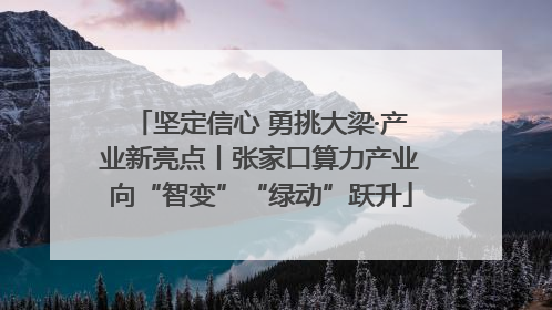 坚定信心 勇挑大梁·产业新亮点丨张家口算力产业向“智变”“绿动”跃升