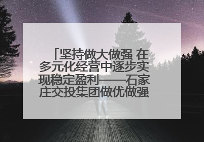 坚持做大做强 在多元化经营中逐步实现稳定盈利——石家庄交投集团做优做强典型报道之三