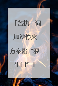 各执一词 加沙停火方案陷“罗生门”