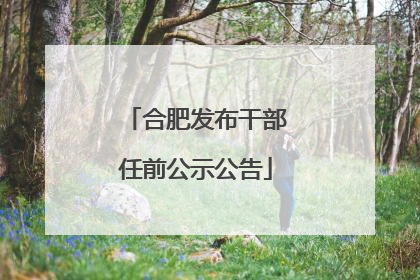 合肥发布干部任前公示公告