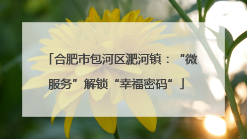 合肥市包河区淝河镇：“微服务”解锁“幸福密码”