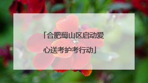 合肥蜀山区启动爱心送考护考行动