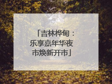 吉林桦甸：乐享嘉年华夜市焕新开市