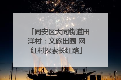 同安区大同街道田洋村：文旅出圈 网红村探索长红路
