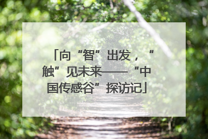 向“智”出发，“触”见未来——“中国传感谷”探访记