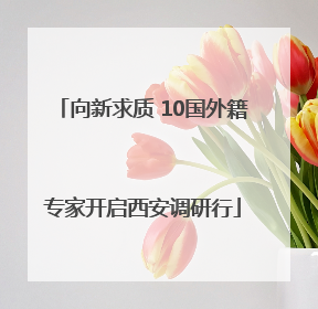 向新求质 10国外籍专家开启西安调研行