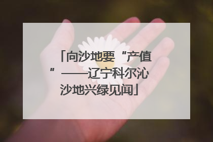 向沙地要“产值”——辽宁科尔沁沙地兴绿见闻