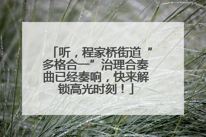 听，程家桥街道“多格合一”治理合奏曲已经奏响，快来解锁高光时刻！