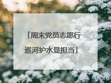 周末党员志愿行 巡河护水显担当