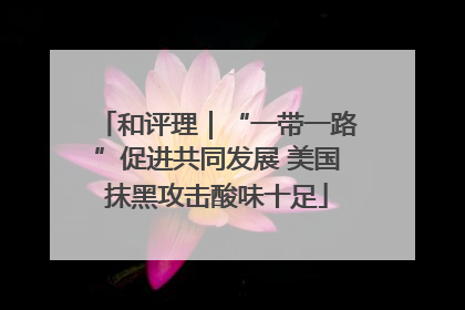 和评理｜“一带一路”促进共同发展 美国抹黑攻击酸味十足