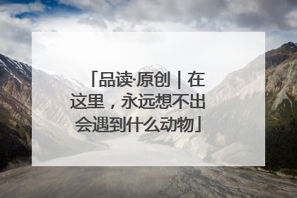 品读·原创｜在这里，永远想不出会遇到什么动物