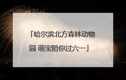 哈尔滨北方森林动物园 萌宝陪你过六一
